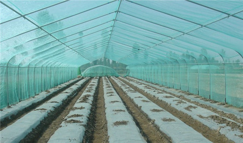 蔬菜薄膜生产厂家_京联塑料专业供应大棚膜