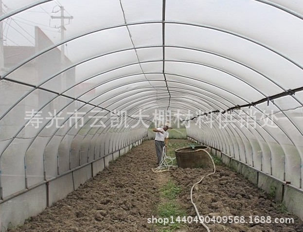 【HOT！】温室大棚聚乙烯防虫网//60&nbsp;&nbsp;大棚果树棚专用防虫网&nbsp;&nbsp;大棚防鸟网生产厂家&nbsp;&nbsp;60目聚乙烯防虫网