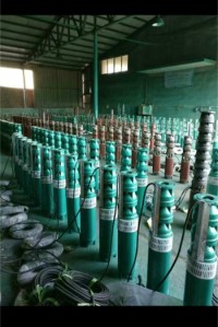 中国潜水泵|品牌好的175QJ潜水泵价格
