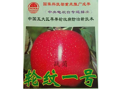 宁夏生物有机肥_想买合格的生物有机肥，就