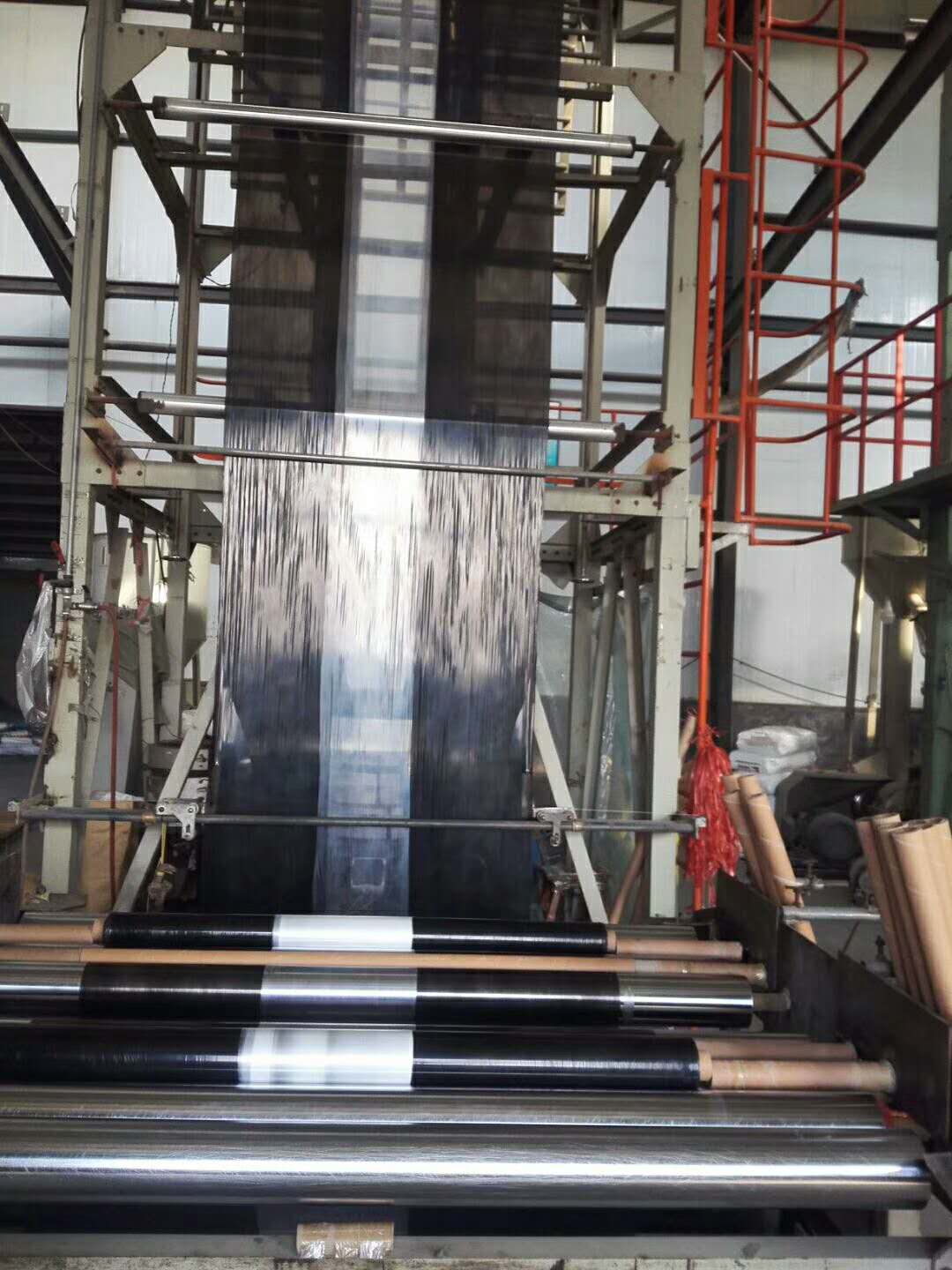 黑白相间地膜哪里卖_潍坊价格实惠的黑白相