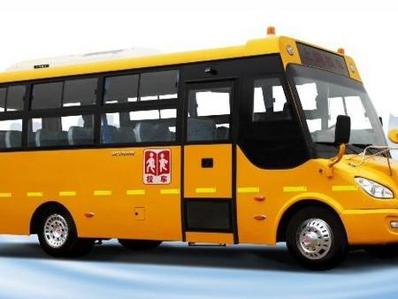 济南解放牌19座幼儿专用校车供应厂家-盛  19座校车