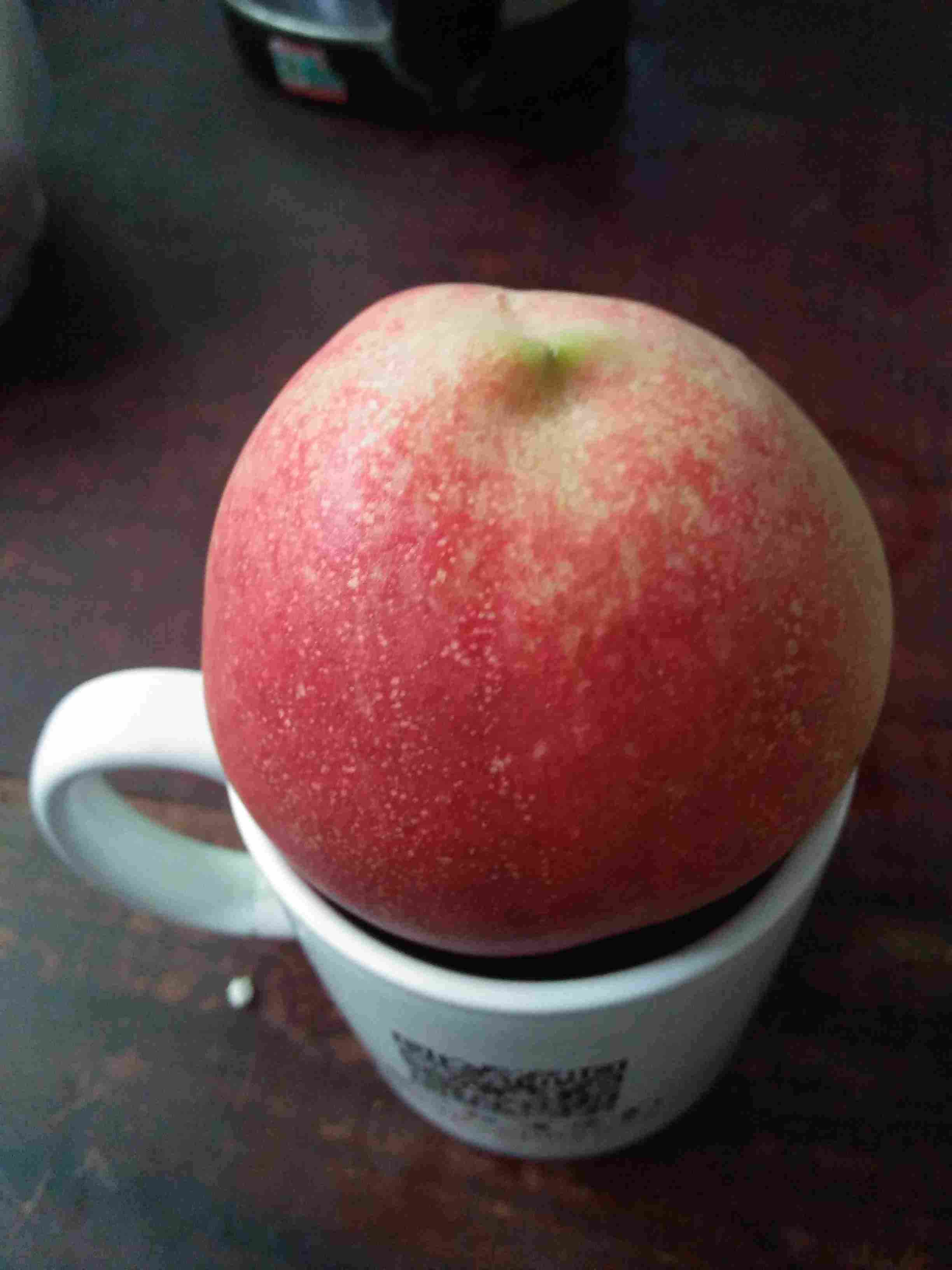 安徽宿州早熟的苹果苗种植