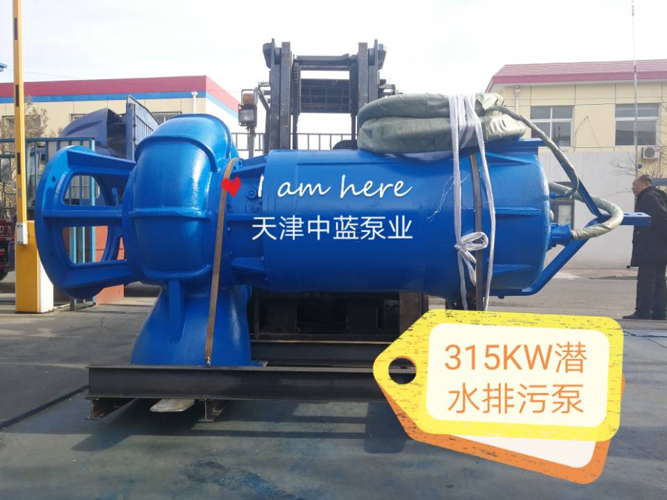潜水轴流泵专卖店-天津哪里有价格合理的污  污水潜水泵