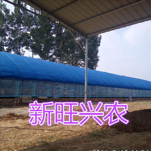 养殖拱棚供应&nbsp;&nbsp;大棚建设&nbsp;&nbsp;养殖大棚&nbsp;&nbsp;温室板房