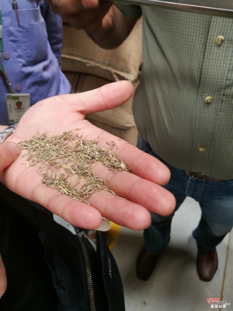 印度孜然进口不具备进口权怎么办？有办法解决吗  进口印度孜然  报关报检  进口清关