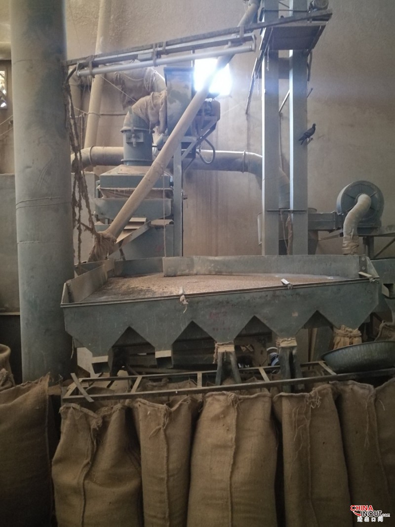 印度孜然进口不具备进口权怎么办？有办法解决吗  进口印度孜然  报关报检  进口清关