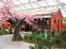 生态餐厅承建-山东好用的生态餐厅