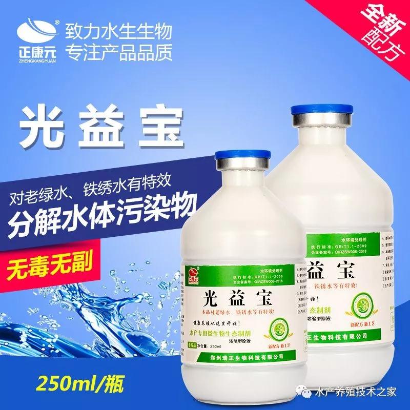 鱼虾蟹塘老绿水怎么回事  水臭  鱼虾蟹容易生病  水色绿浓绿