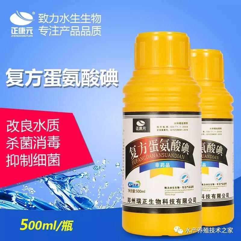 白对虾黑鳃，红须，红体怎么回事