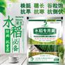 水稻专用复合微生物菌剂水稻专用微生物菌剂复合芽孢菌