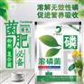 溶磷菌复合溶磷菌复合菌肥生物功能菌生物有机肥功能菌
