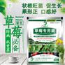 草莓专用微生物菌剂草莓专用复合微生物菌剂草莓专用菌