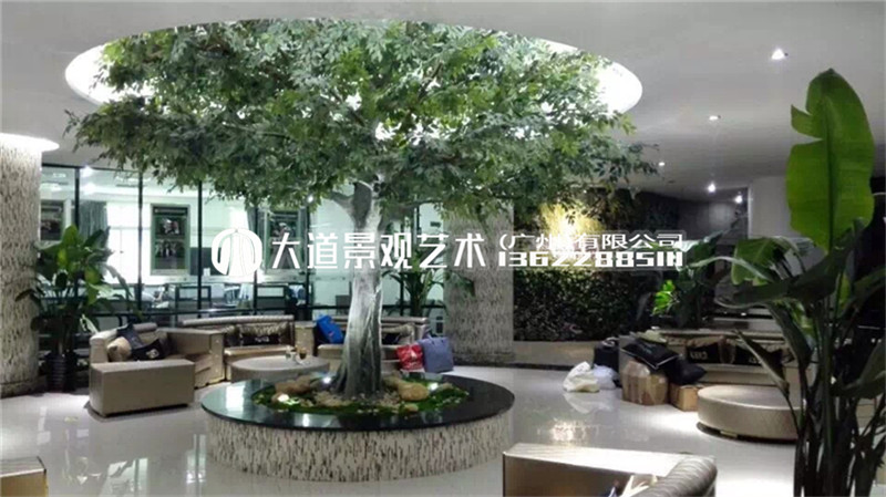 仿真金榕树黄金树摇钱树