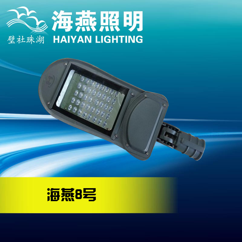 30W新农村LED路灯灯具