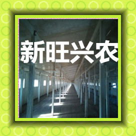 新旺兴农寿命长强度大外观美观温室大棚&nbsp;&nbsp;养殖大棚&nbsp;&nbsp;种植大棚&nbsp;&nbsp;大棚骨架
