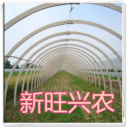 新旺兴农寿命长强度大外观美观温室大棚&nbsp;&nbsp;养殖大棚&nbsp;&nbsp;种植大棚&nbsp;&nbsp;大棚骨架