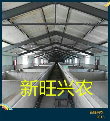 大棚厂房供应 养殖大棚 种植大棚 大棚骨架