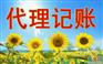 公司代理记账注册核名等一系列会计工作