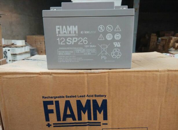 武汉非凡蓄电池12SLA50 12V50AH铅酸蓄电池  FIAMM非凡