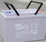 FIAMM非凡蓄电池6SLA100 6V100AH正品