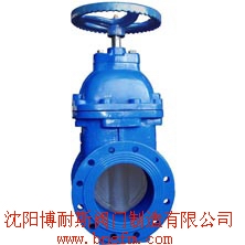 软密封闸阀批发，弹性座封闸阀，水管道闸阀安装尺寸  软密封闸阀结构  电动弹性座封闸阀  水用闸阀哪家好