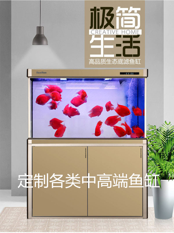 超白玻璃鱼缸_超大型鱼缸  led鱼缸灯  鱼缸玻璃厂家  鱼缸布景效果图