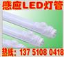 河北LED照明灯具生产厂家
