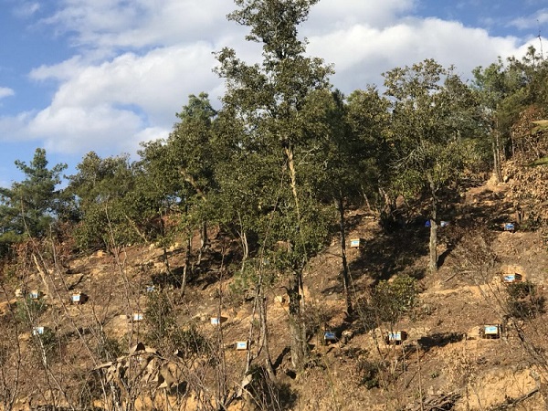 云南聚诚科技有限公司