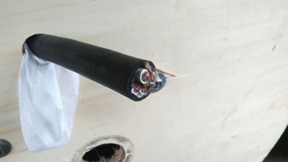 耐高温补偿导线