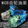WCB50不锈钢齿轮油泵