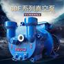 CDF1202-OND2耐腐蚀真空泵 不锈钢泵