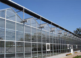 温室大棚设计-有保障的北方温室大棚建造推