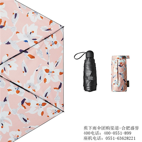合肥蕉下遮阳伞批发团购-合肥蕉下雨伞代理商  合肥蕉下雨伞团购  合肥蕉下代理商