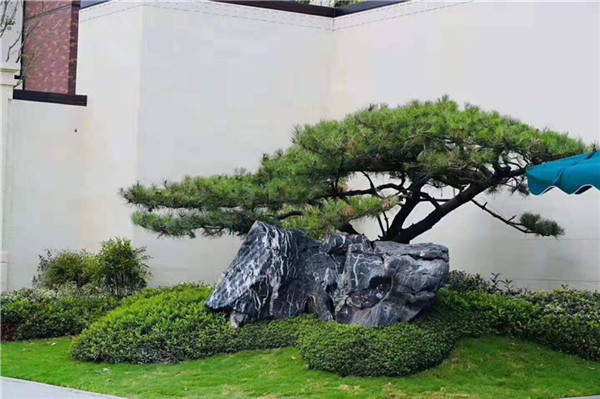 广东野山石产地，黑山石枯水造景石，产地直销，国发货  假山石