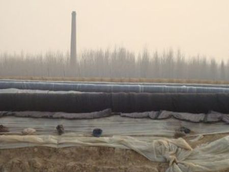大棚棉被厂家_质量好的大棚棉被供应商当属