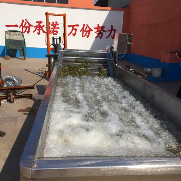 汇康牌包装袋清洗机 带鱼挂冰机 连续式洗鱼机  鱼肉清洗机