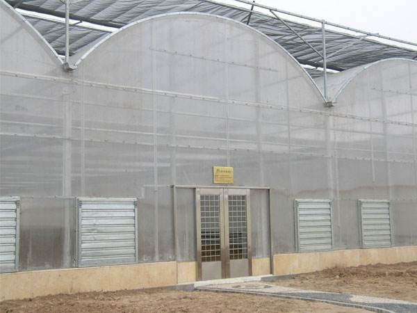 PC板温室大棚-建造阳光板温室大棚就来千