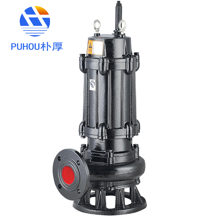 湖南湘潭250QW600-25-75清理淤泥泵供应商