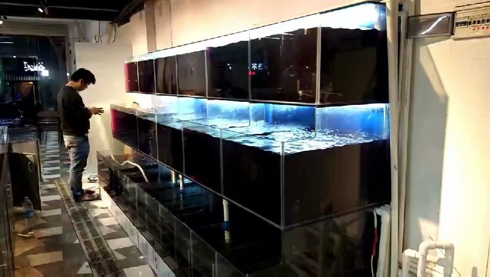 广州制作
海鲜鱼池
价格  鱼缸厂  大型亚克力鱼缸  有机玻璃鱼缸