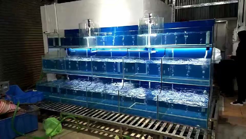 深圳订做
海鲜鱼池多少钱  鱼缸厂  大型亚克力鱼缸  有机玻璃鱼缸