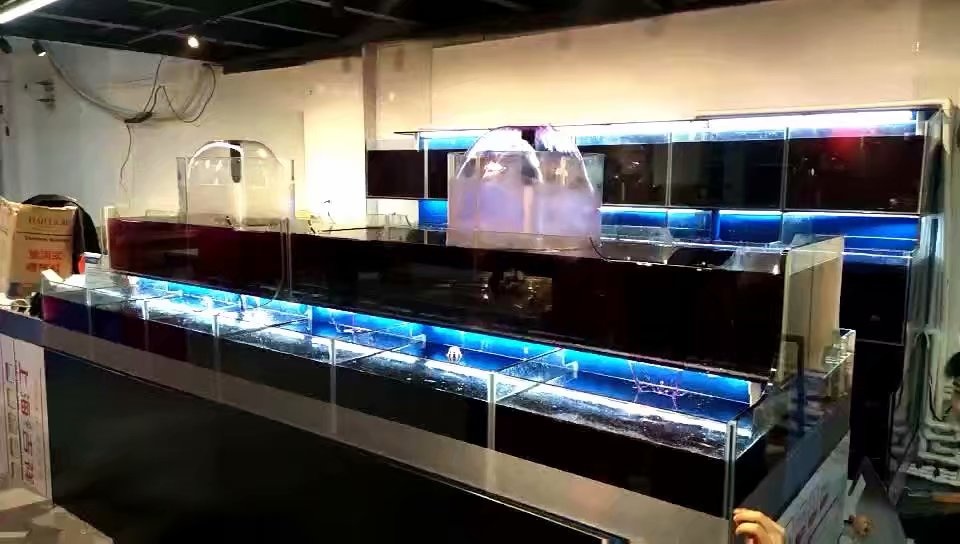 深圳订做
海鲜鱼池多少钱  鱼缸厂  大型亚克力鱼缸  有机玻璃鱼缸