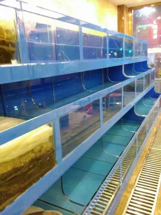 深圳
餐厅海鲜鱼池
价格  鱼缸厂  大型亚克力鱼缸  有机玻璃鱼缸