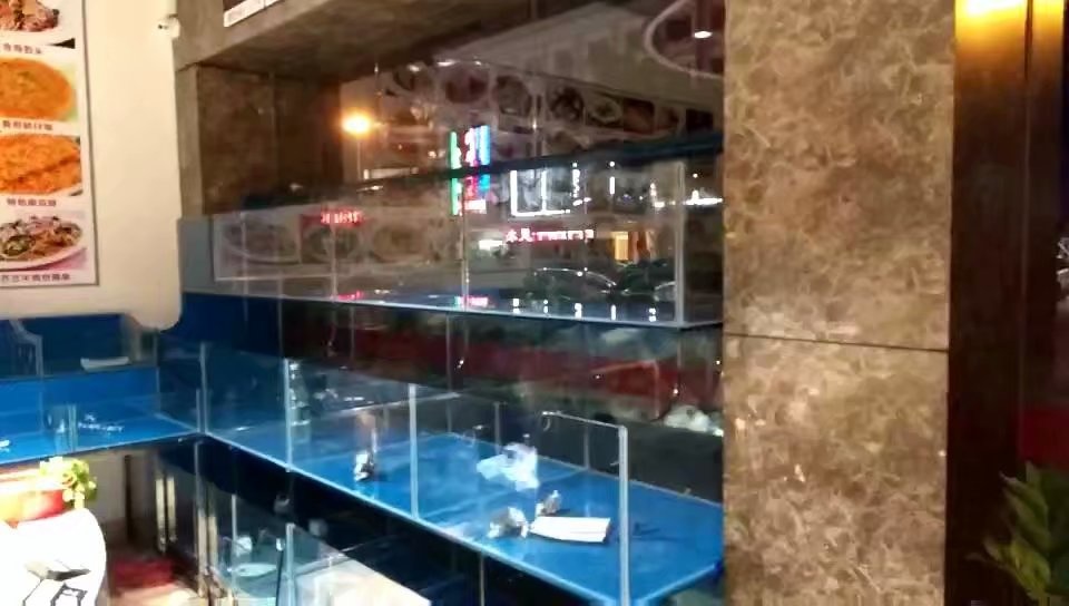 深圳
餐厅海鲜鱼池
价格  鱼缸厂  大型亚克力鱼缸  有机玻璃鱼缸