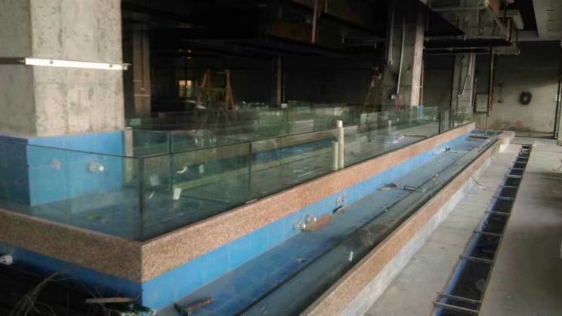 广州定制
海鲜鱼池价格  鱼缸厂  大型亚克力鱼缸  有机玻璃鱼缸