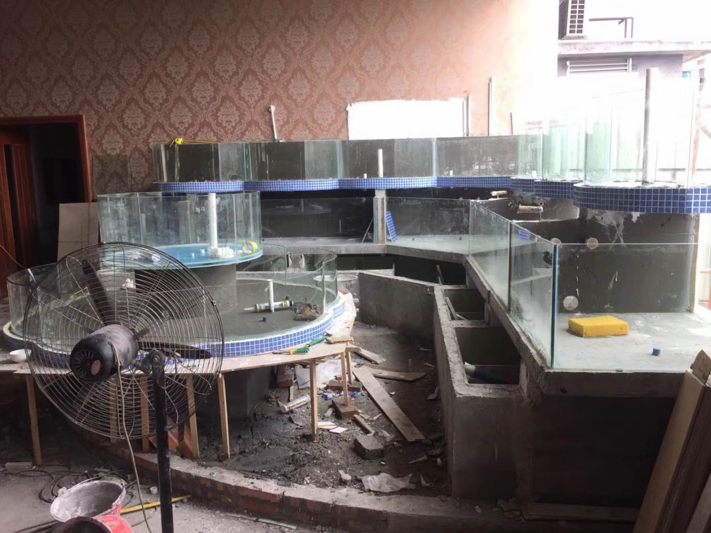 潮州市湘桥区海鲜鱼池哪家好  鱼缸厂  大型亚克力鱼缸  有机玻璃鱼缸