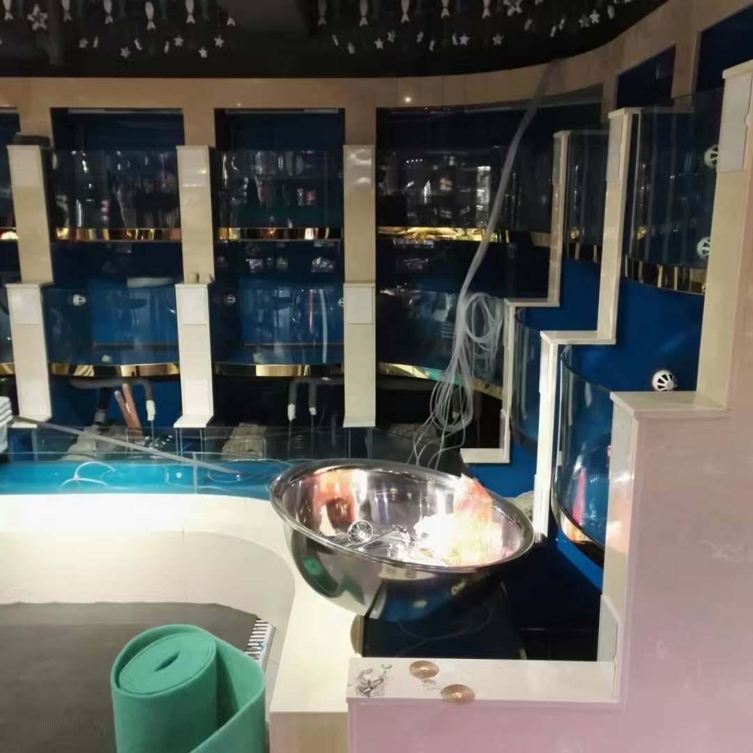 海珠区海鲜鱼池设计哪家好  鱼缸厂  大型亚克力鱼缸  有机玻璃鱼缸