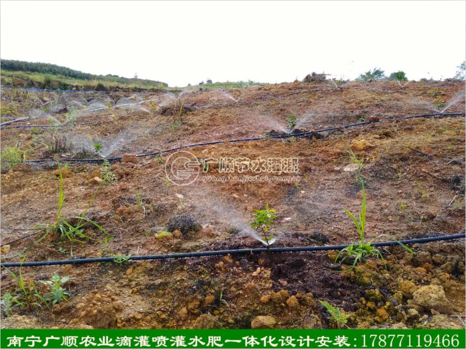 河池喷灌设备安装|南宁信誉好的果树专用喷  果树专用喷头