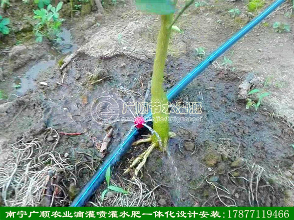 广西喷灌设计安装-南宁有品质的果树小喷头