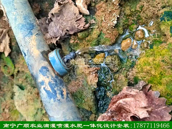 广西以色列进口滴灌设备_优惠的以色列进口
